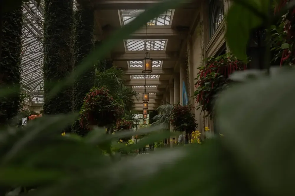 How to use biophilic design to finally make your home feel peaceful